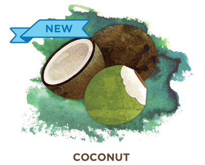 Coconut Bevi Cooler water flavor
