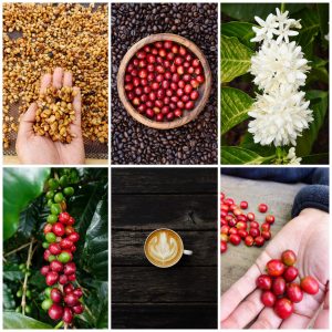 Celebrate Coffee in Green Bay and Northeast Wisconsin